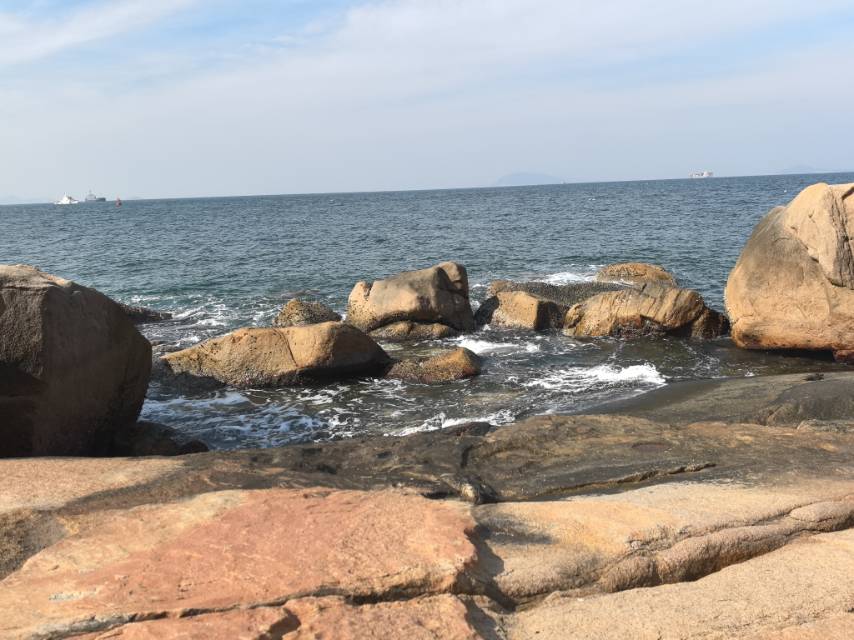 找搭子