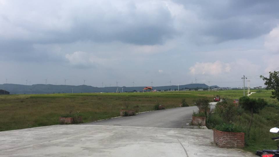 找搭子