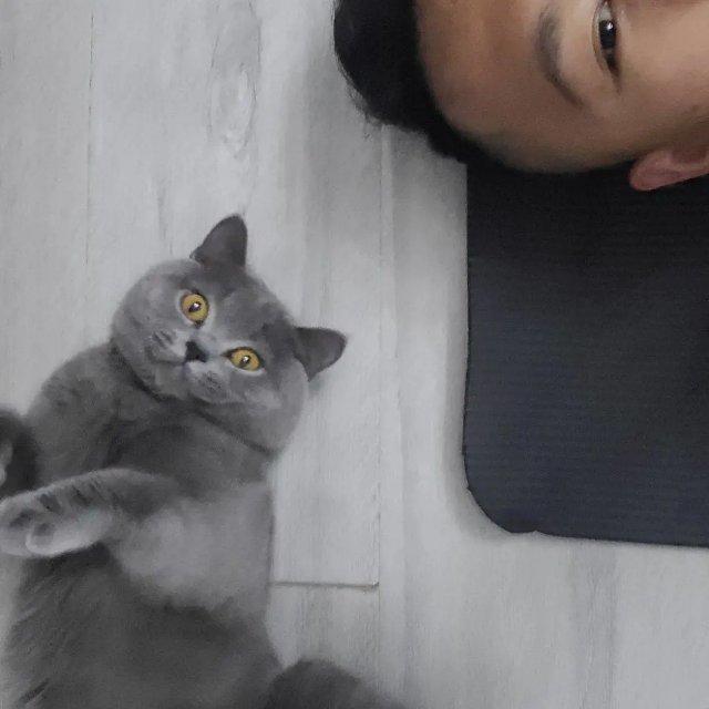 找搭子