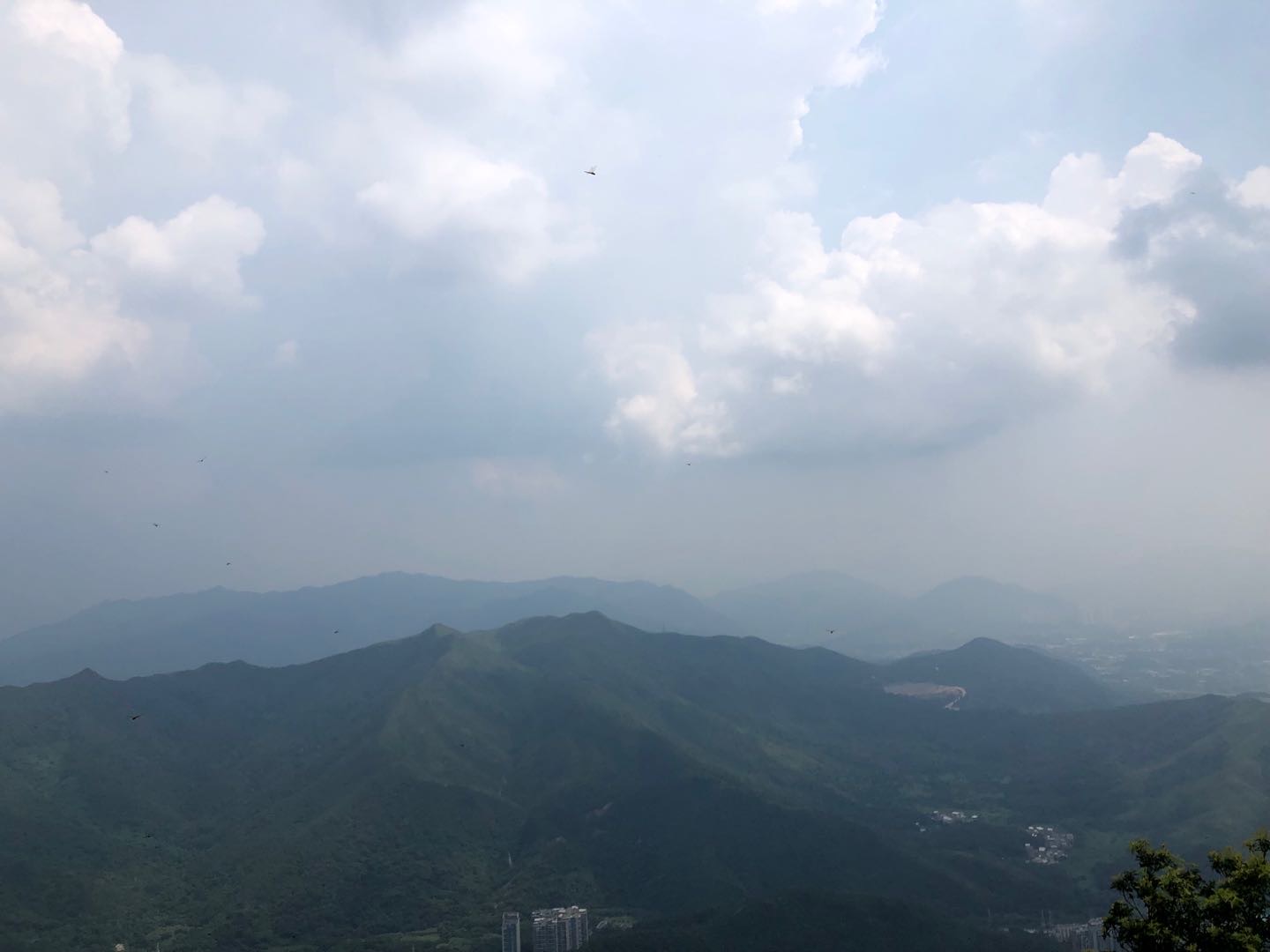 找搭子