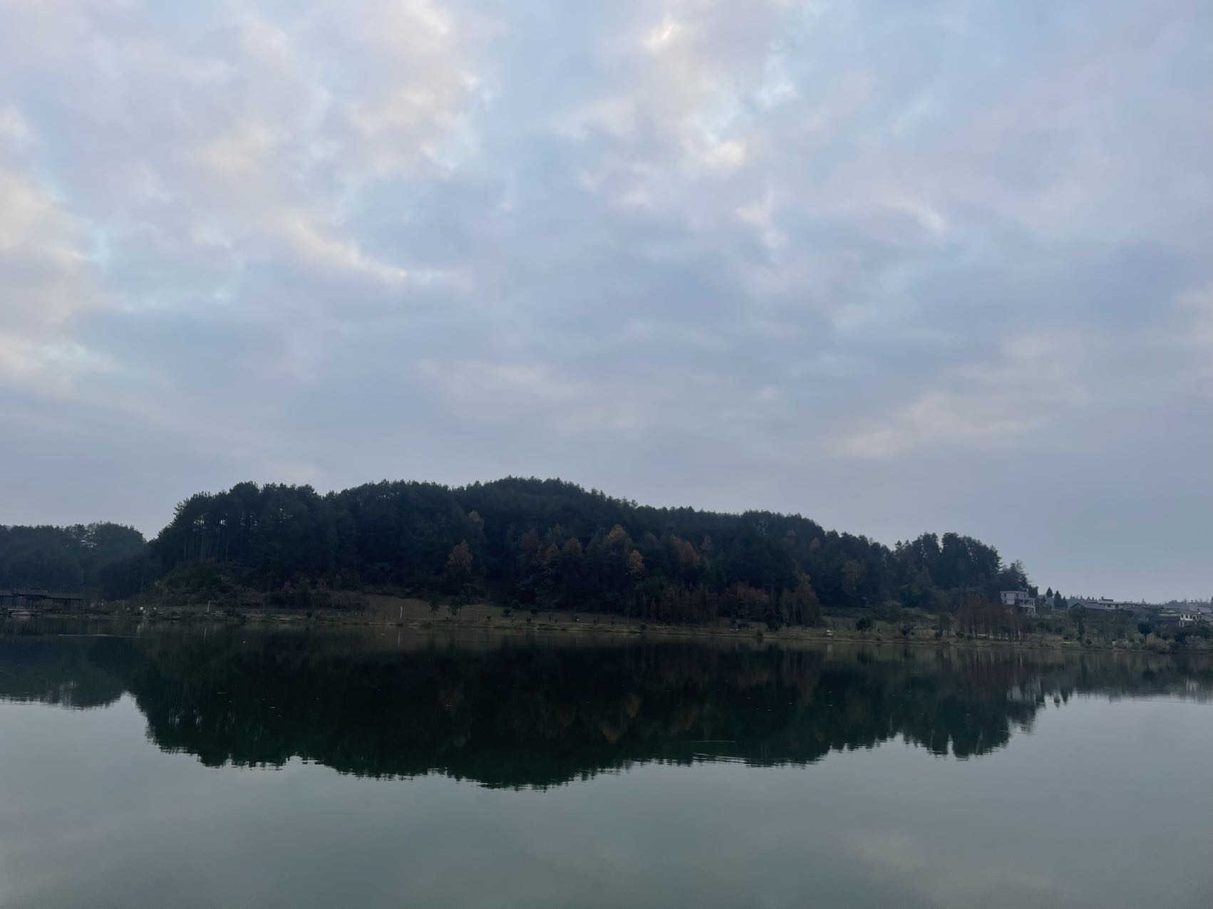 找搭子