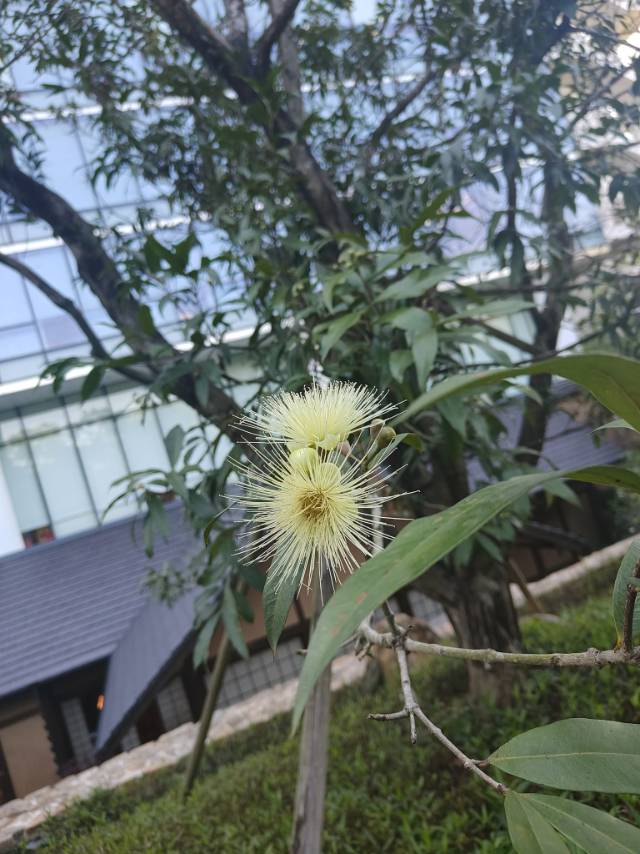 找搭子