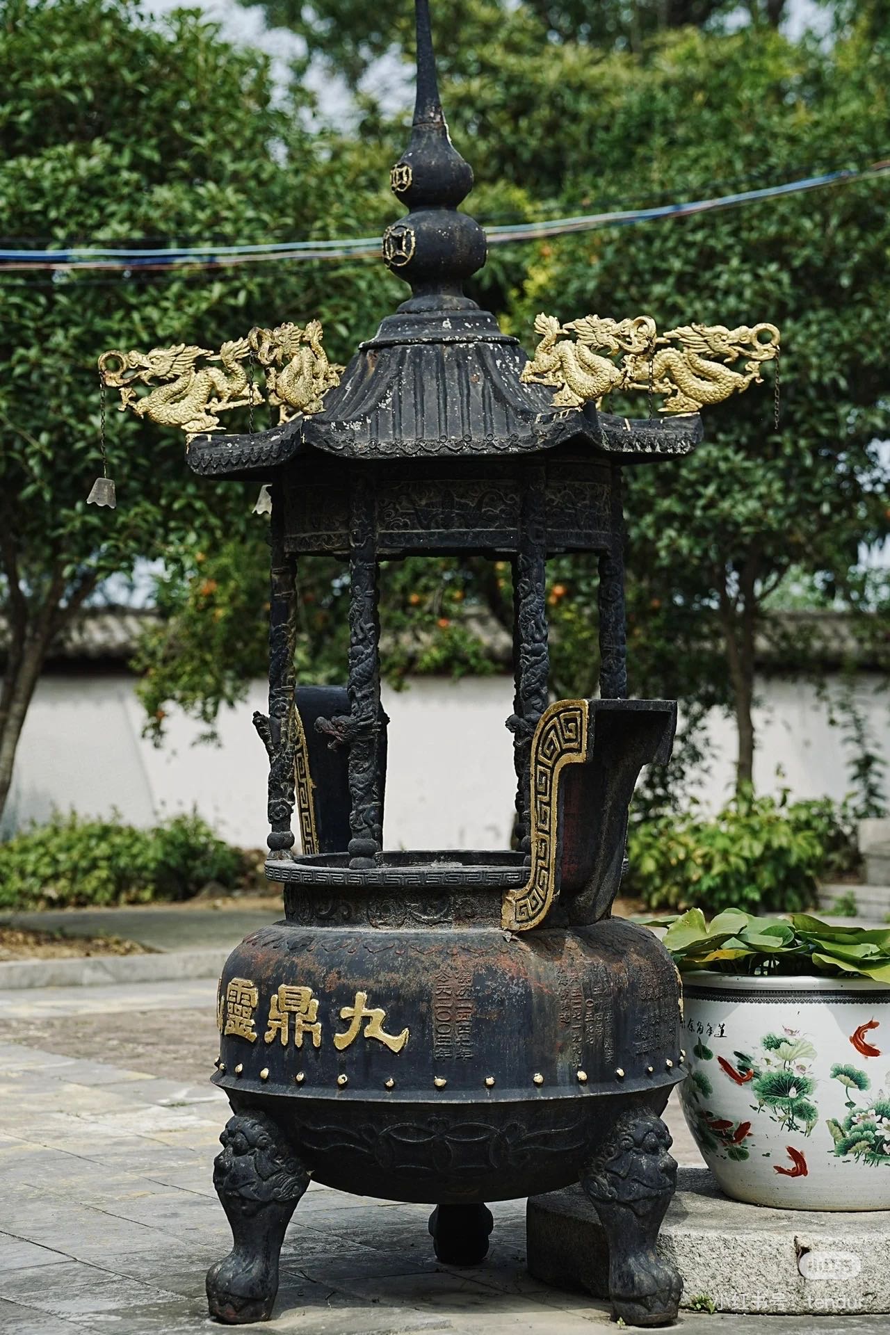 找搭子