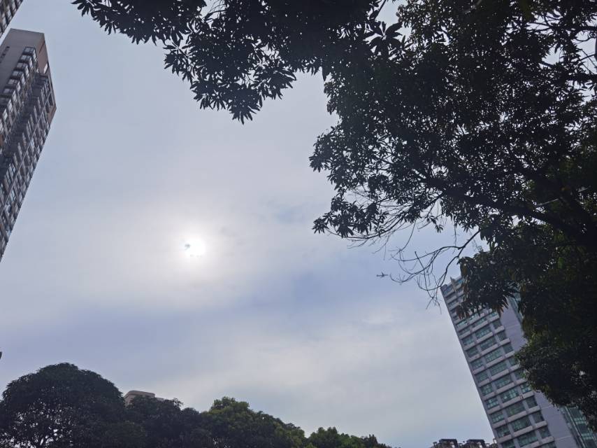 找搭子