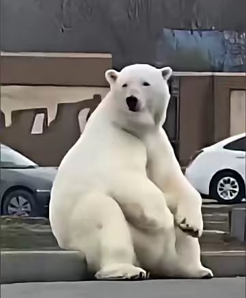 找搭子