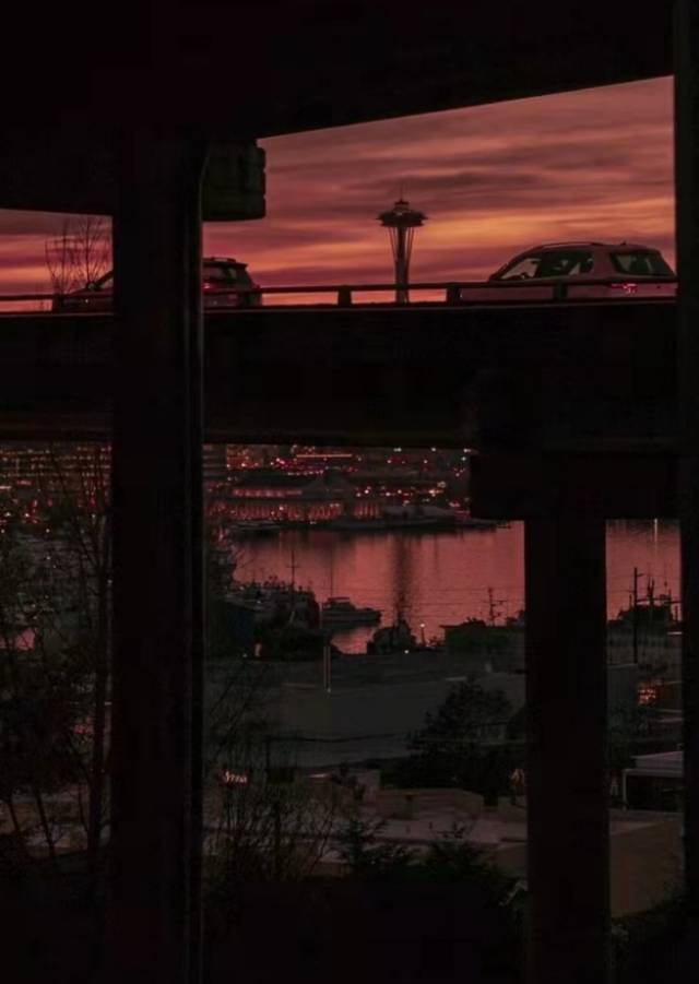 找搭子