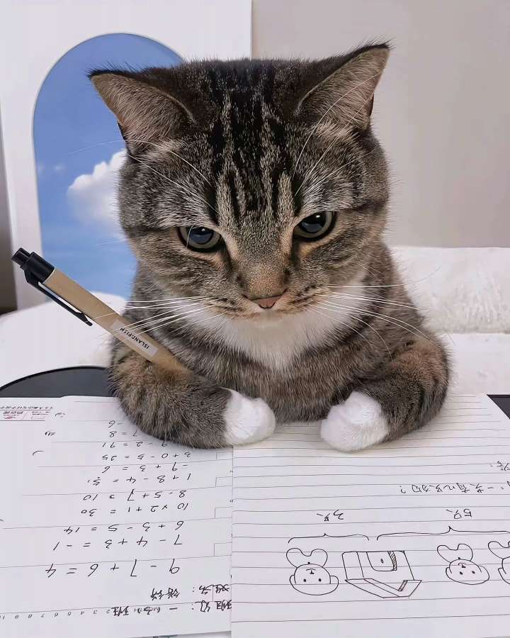 找搭子