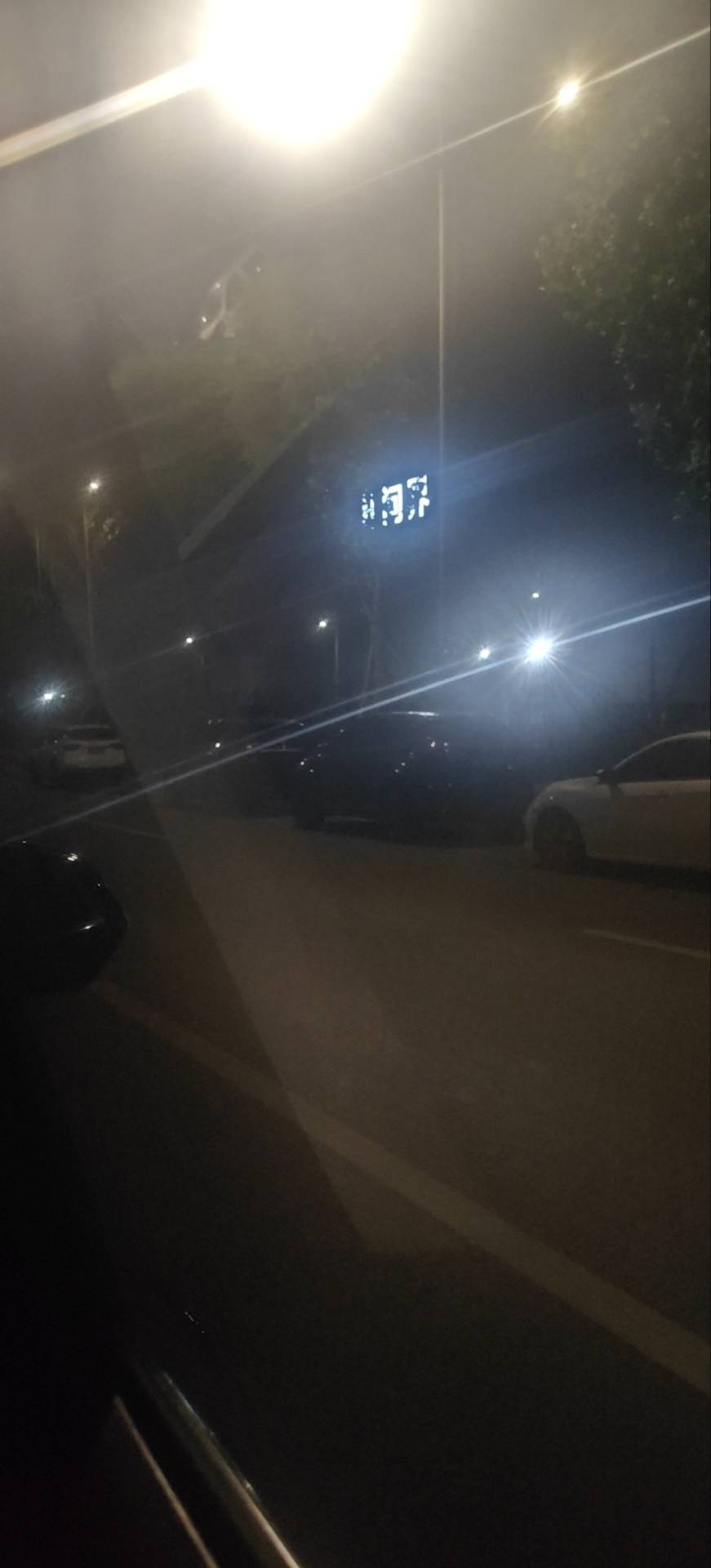 丛丛相亲交友平台