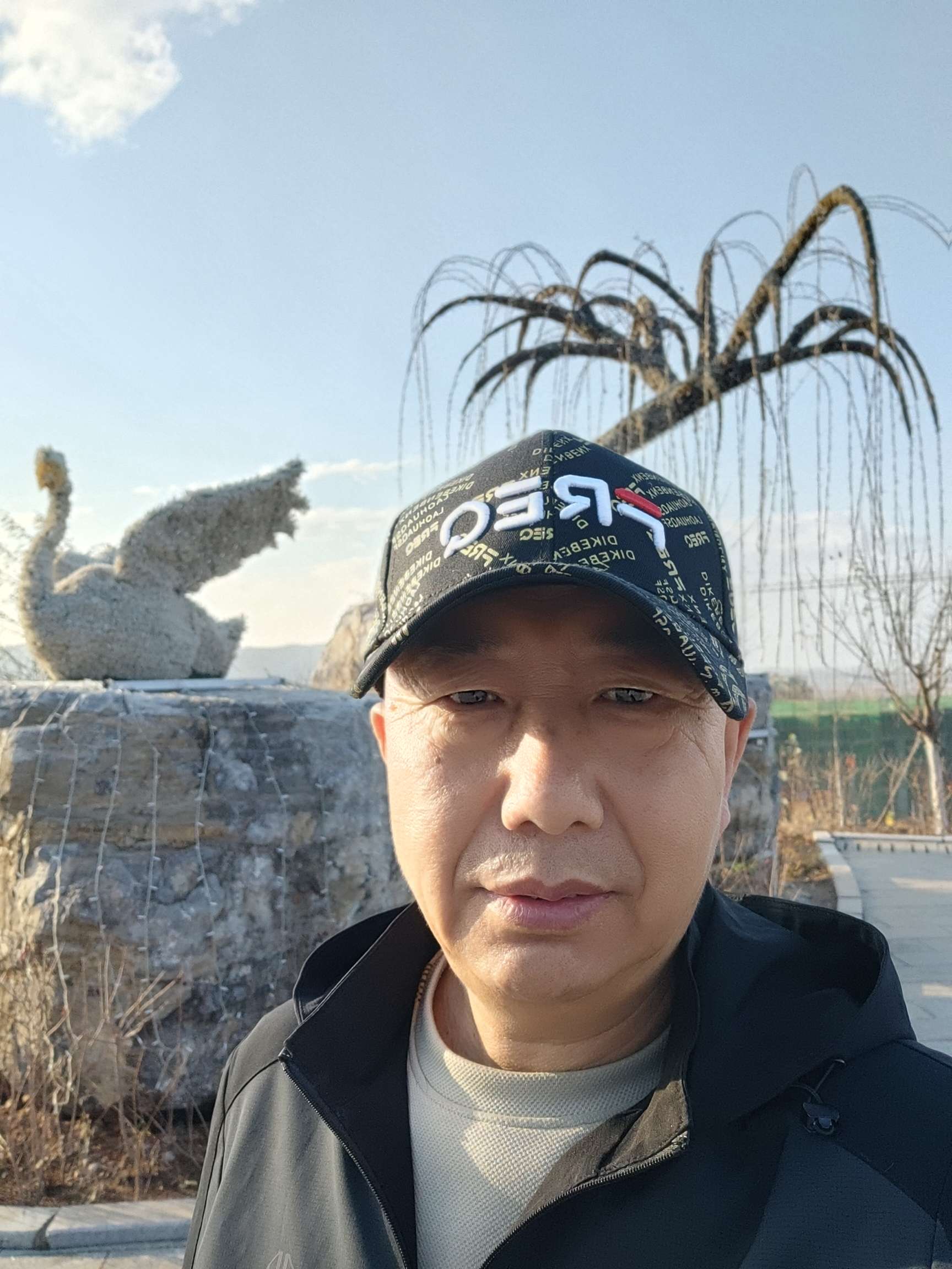 丛丛相亲交友平台