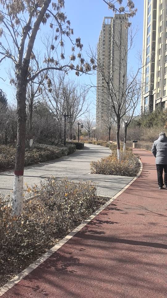丛丛相亲交友平台