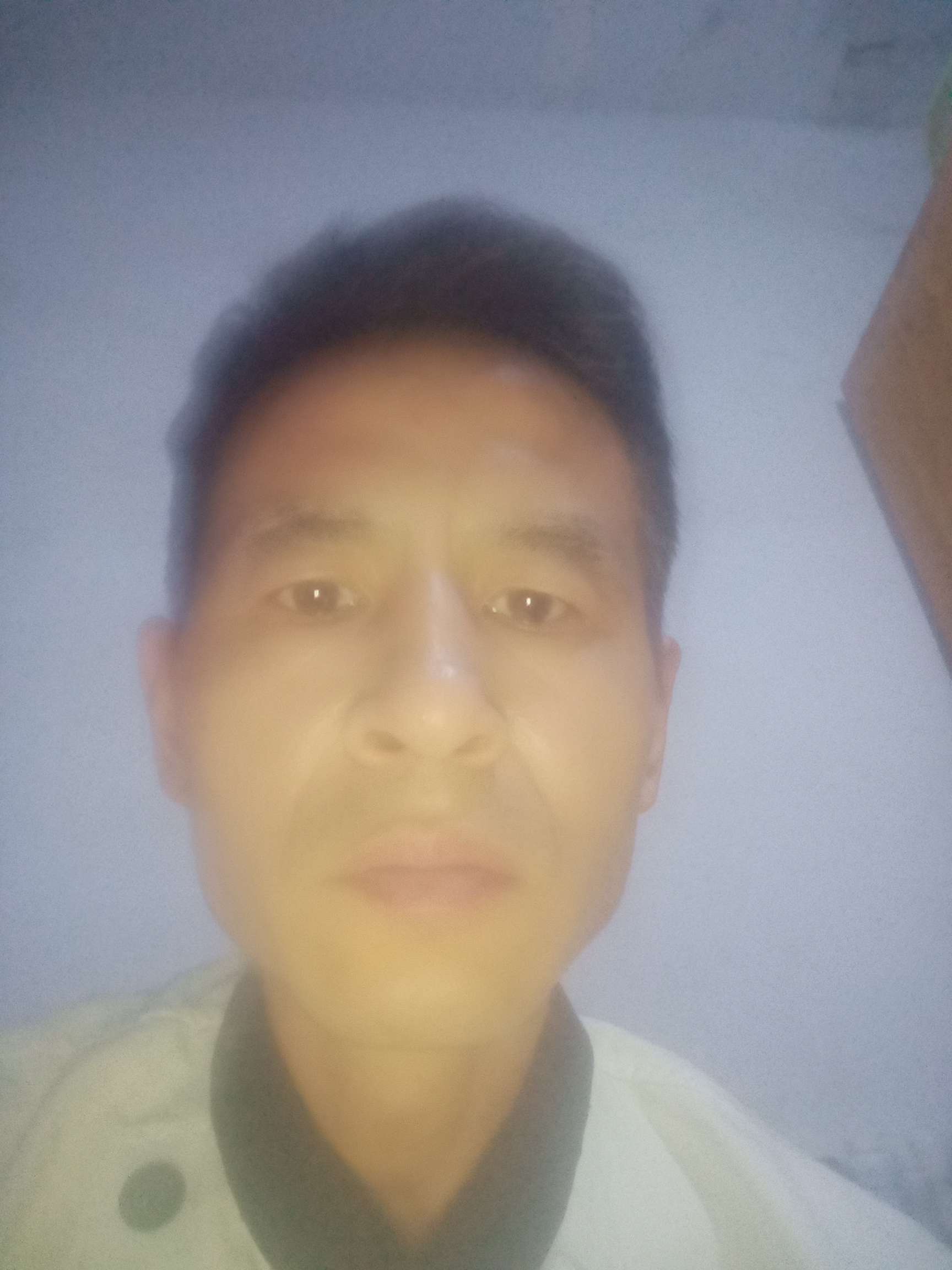 丛丛相亲交友平台