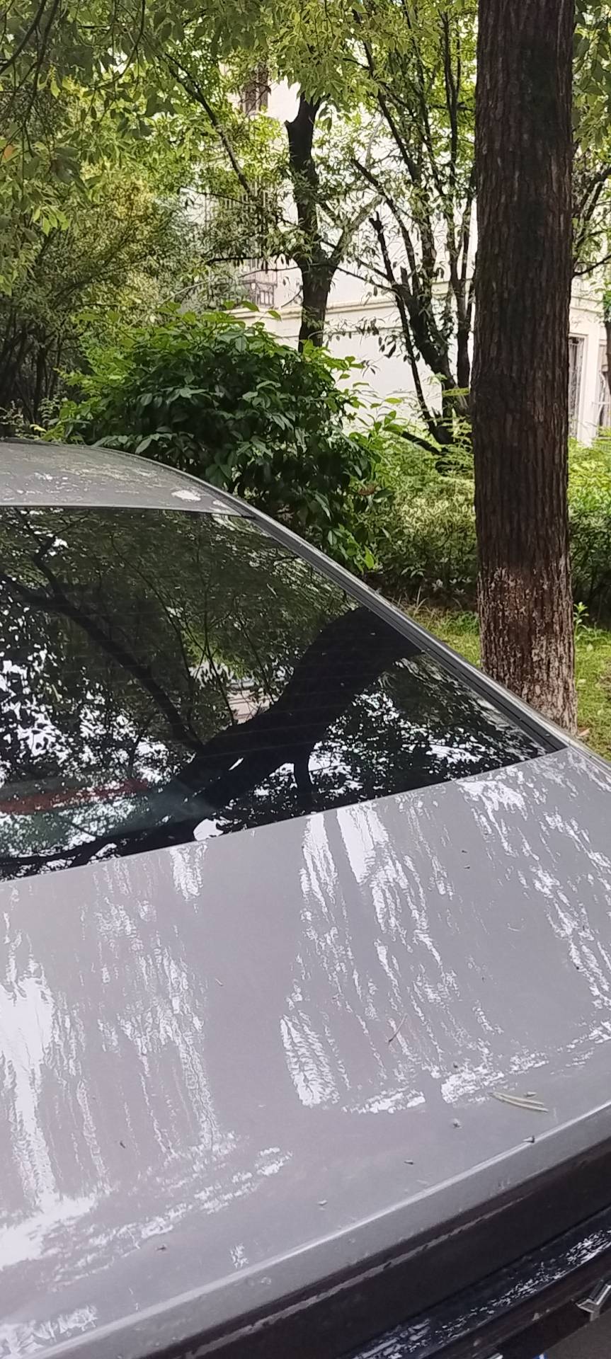 找搭子