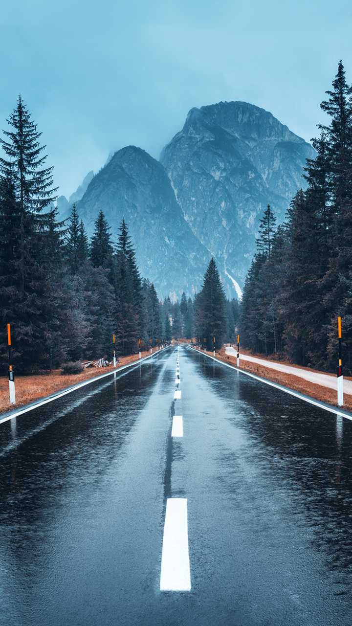 找搭子
