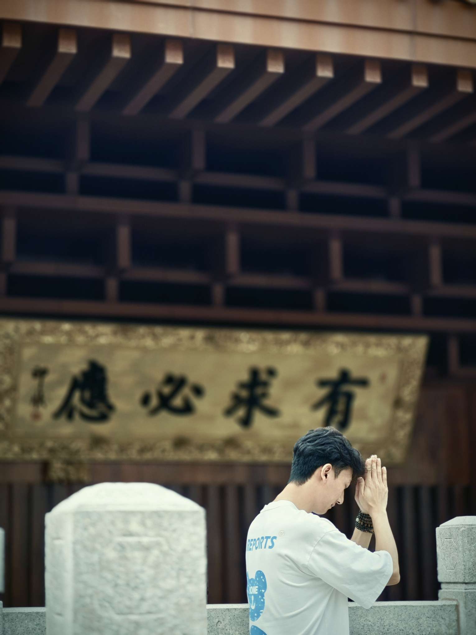 丛丛相亲交友平台