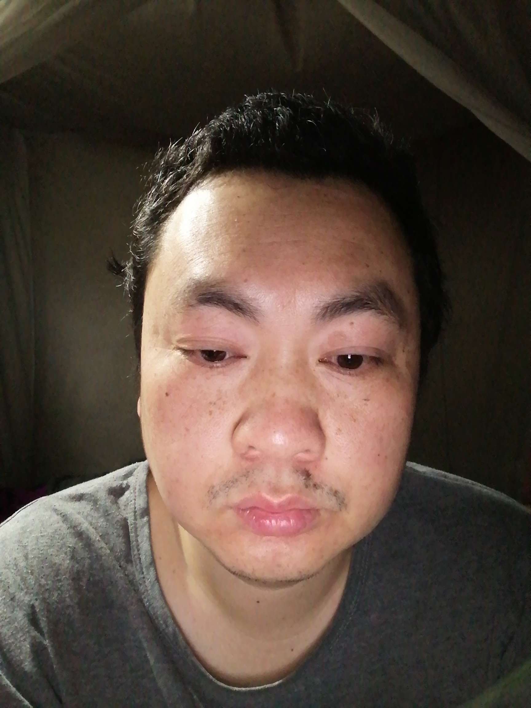 丛丛相亲交友平台