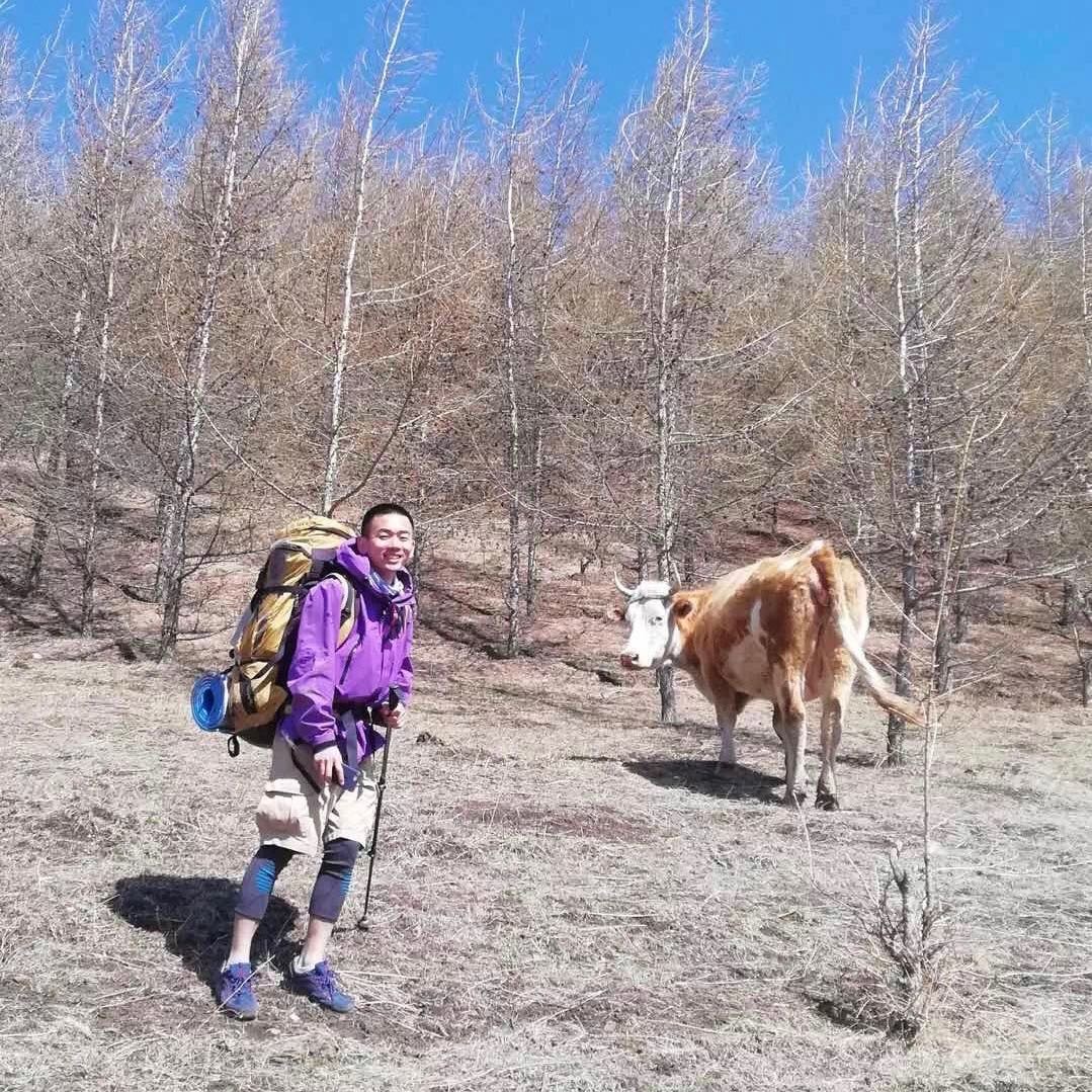 丛丛相亲交友平台