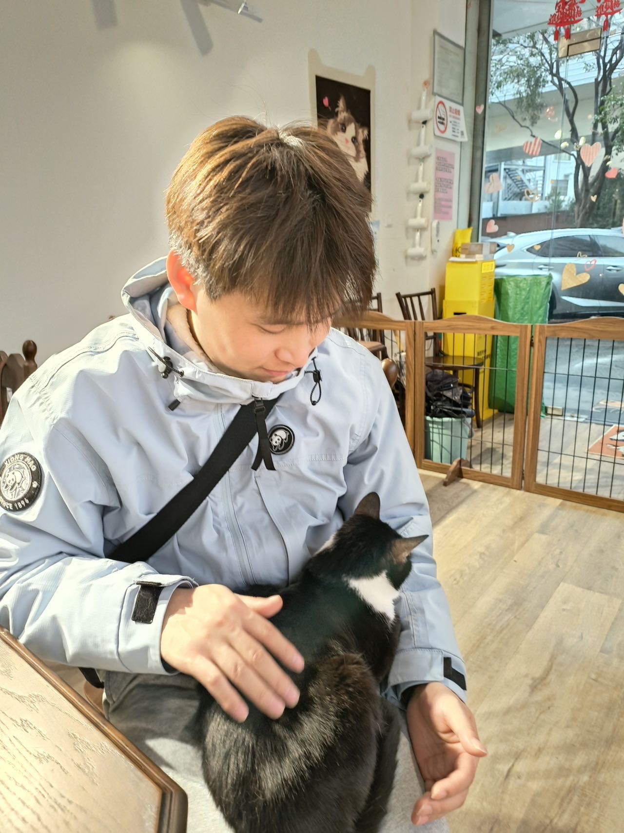 丛丛相亲交友平台