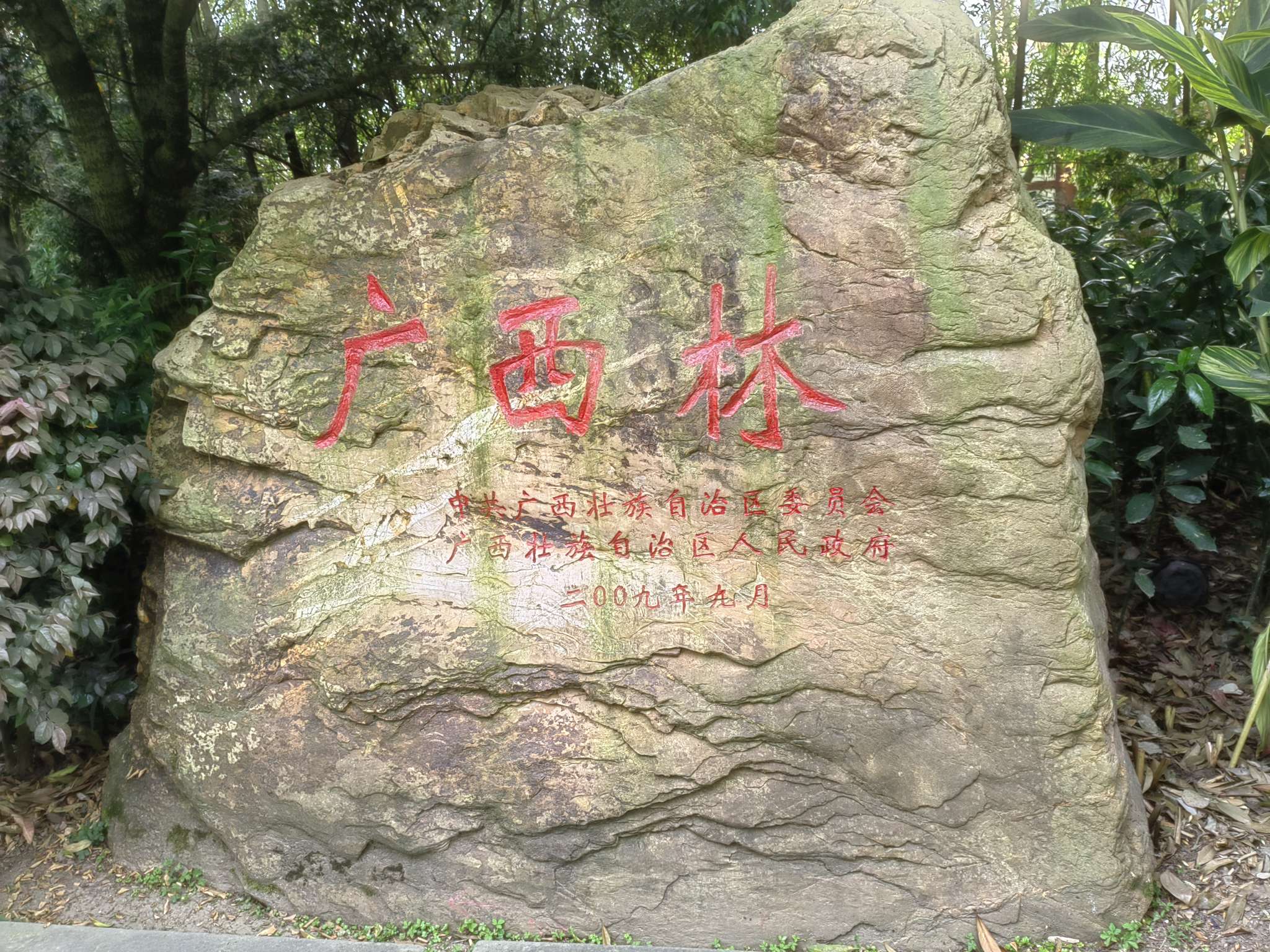 丛丛相亲交友平台