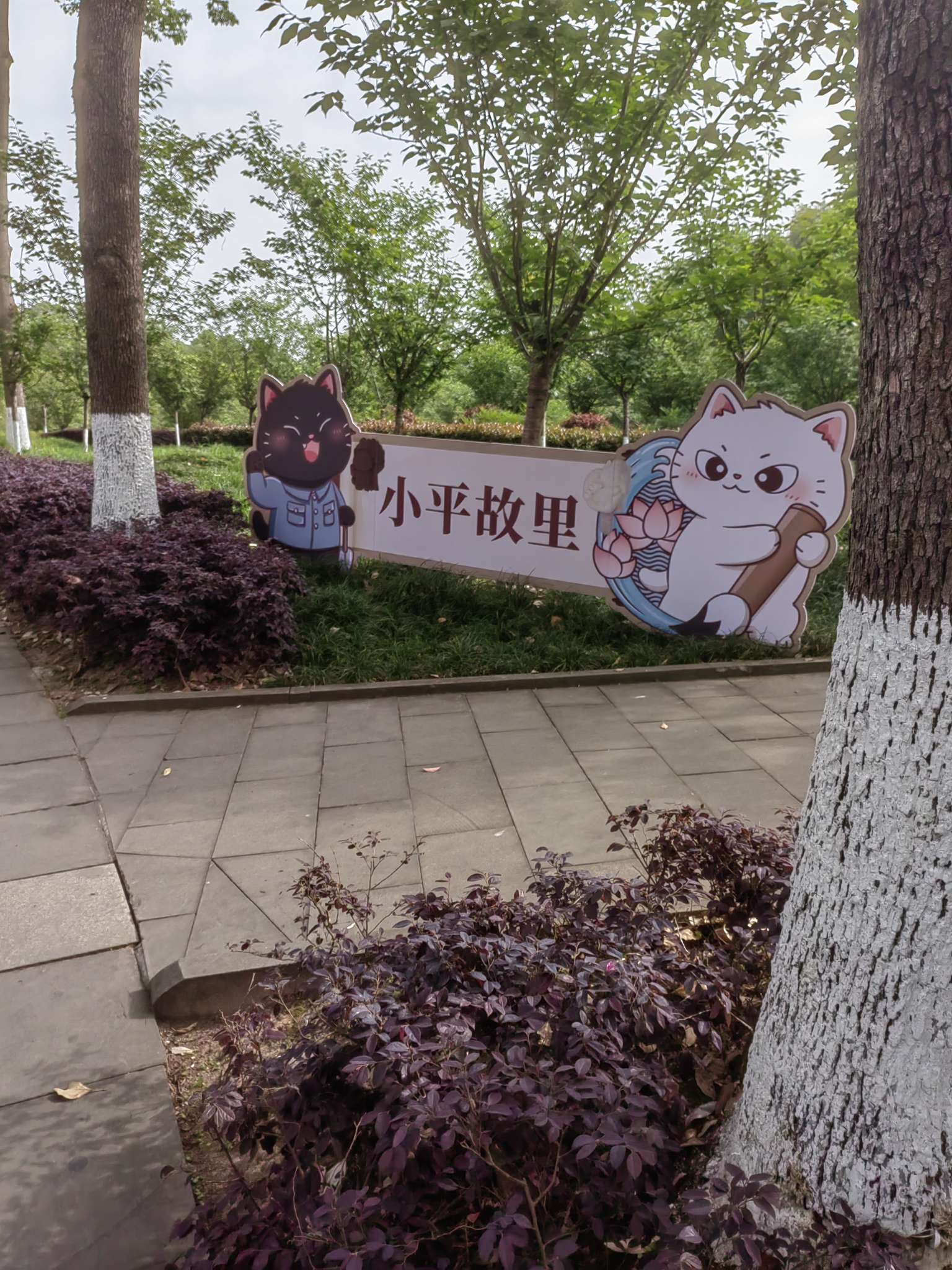 丛丛相亲交友平台
