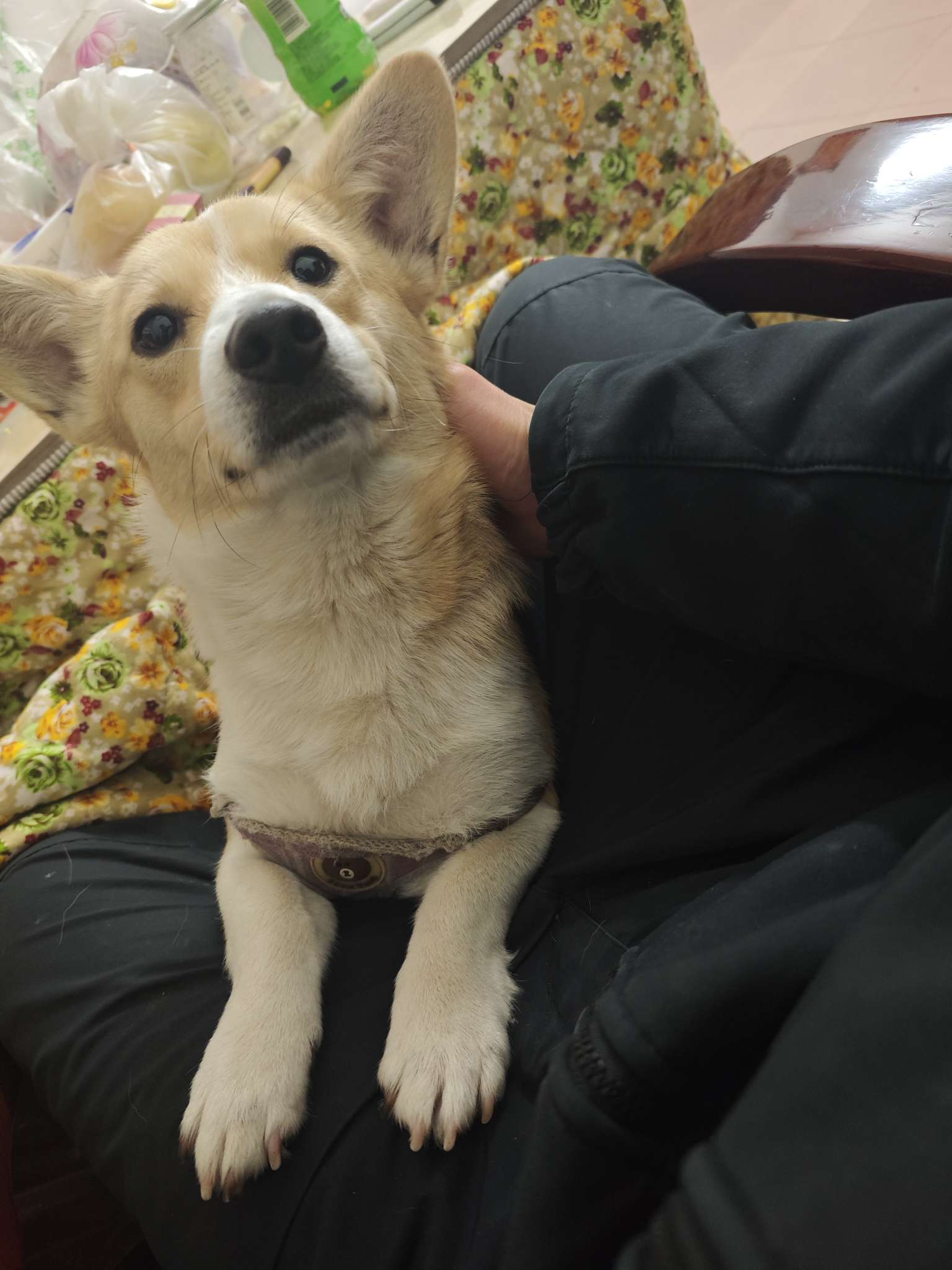 找搭子