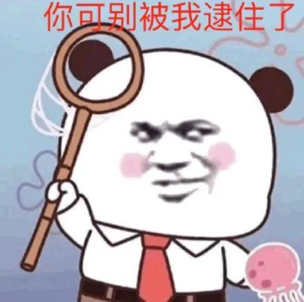 找搭子