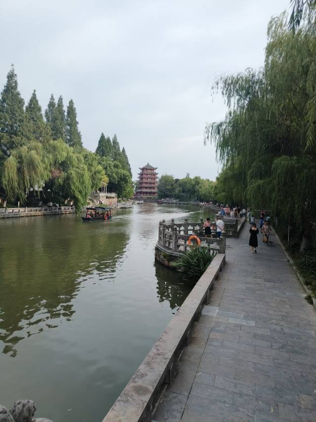 找搭子