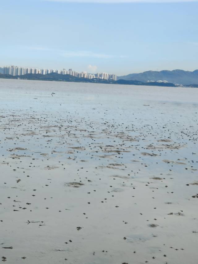 找搭子