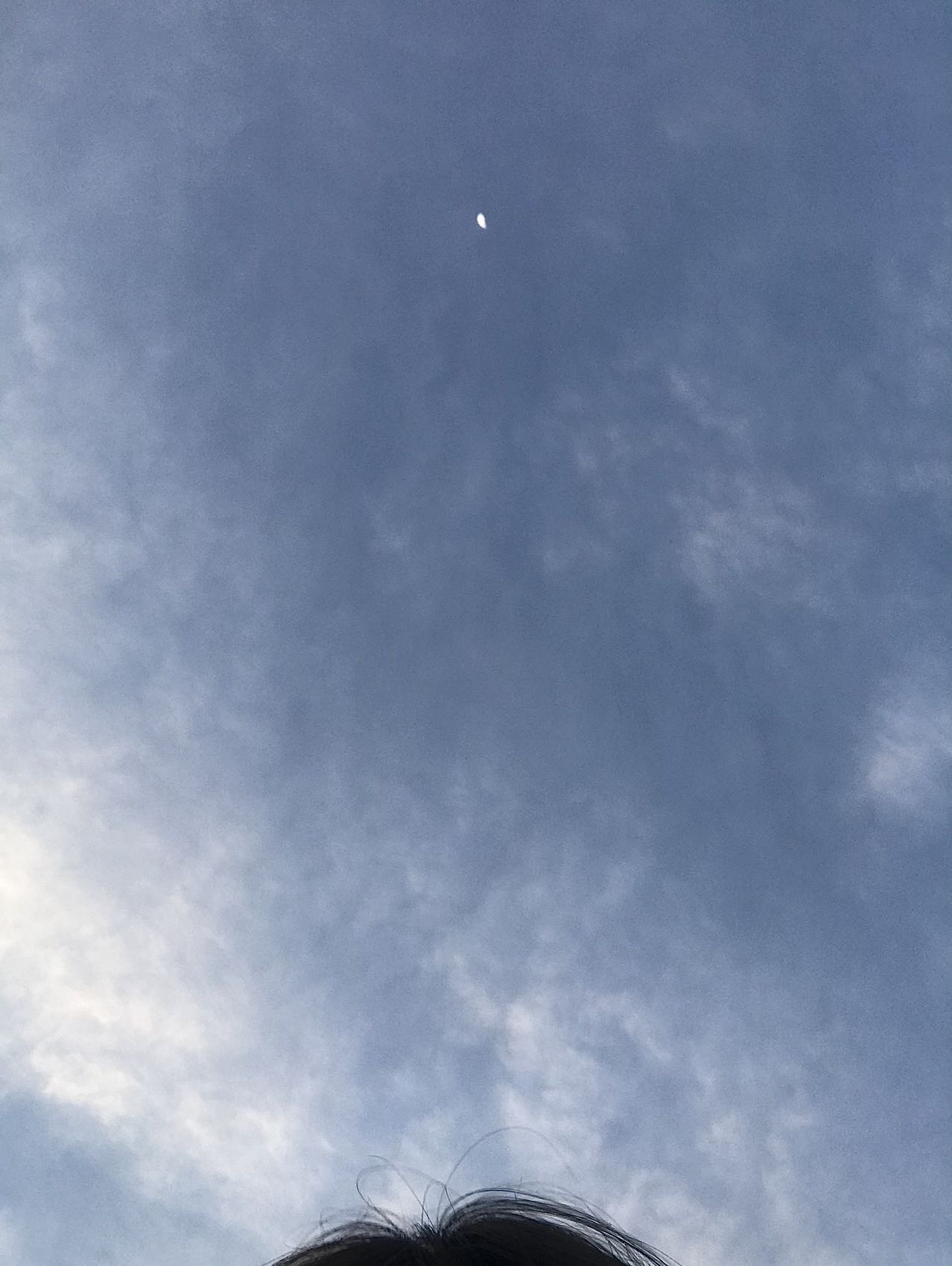 找搭子
