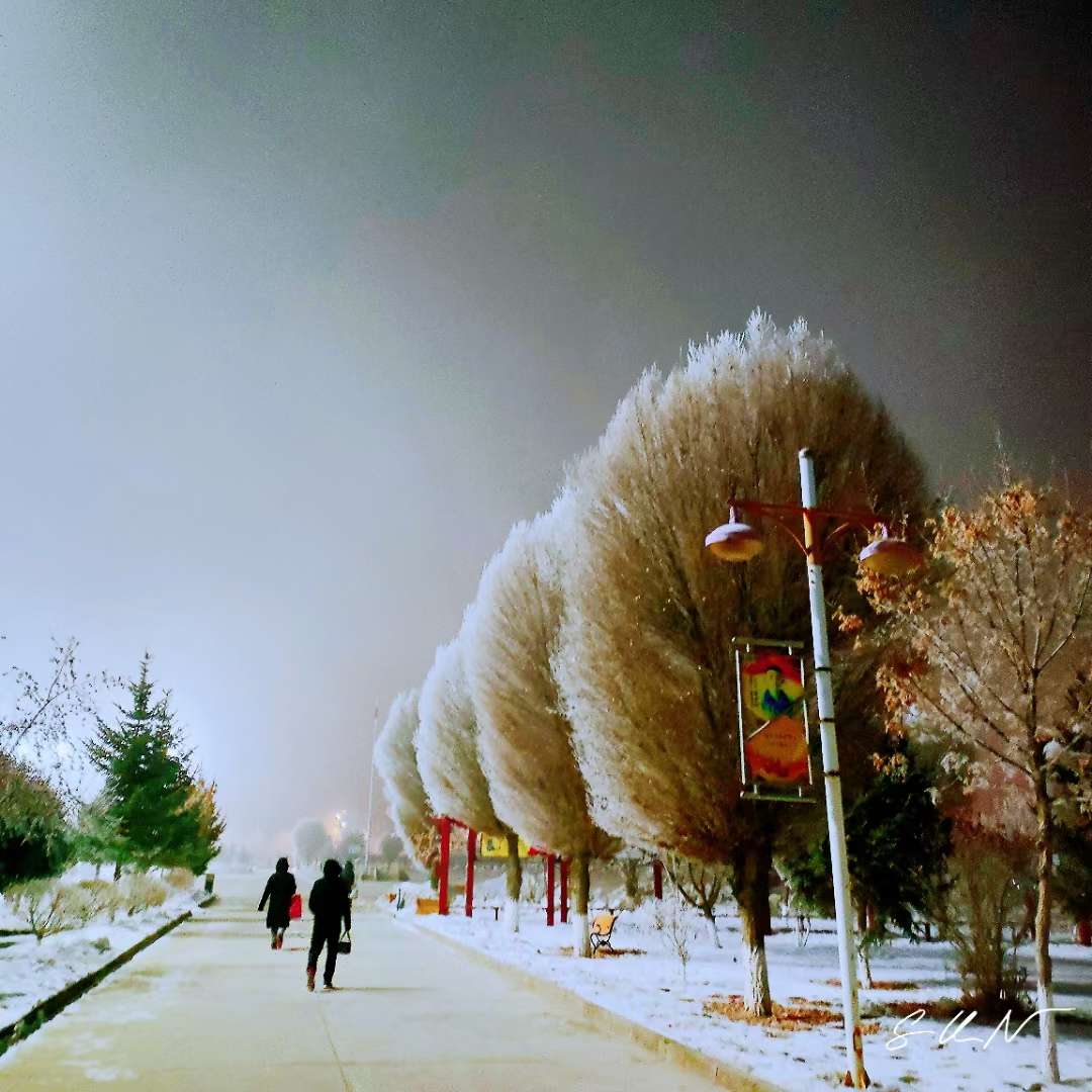 找搭子