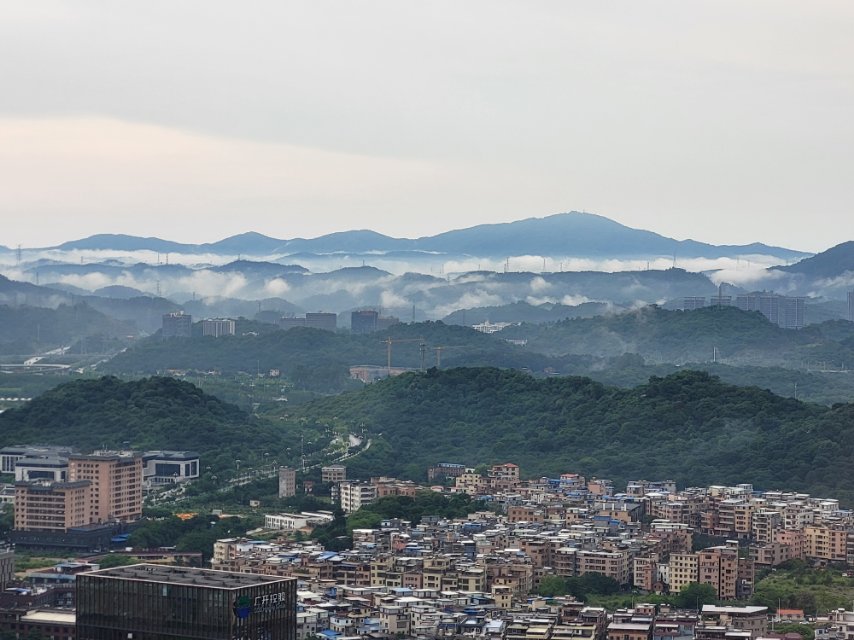 找搭子
