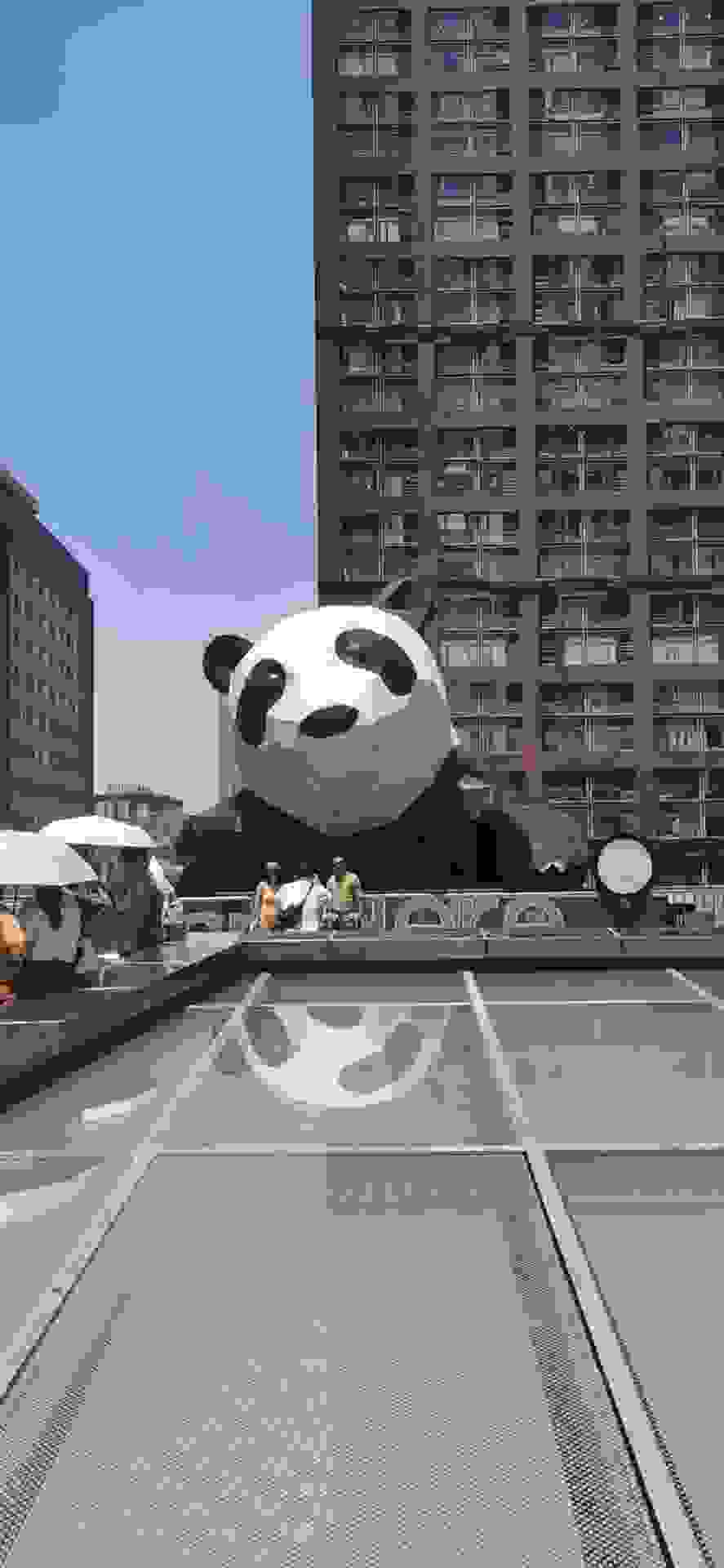 找搭子