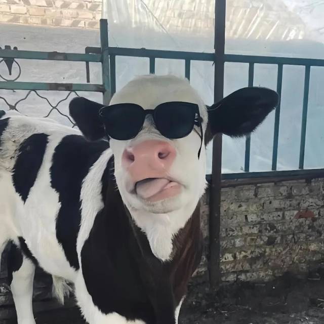 找搭子