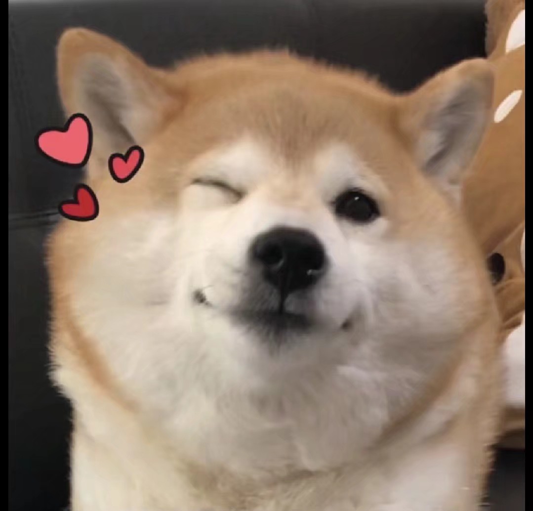 找搭子