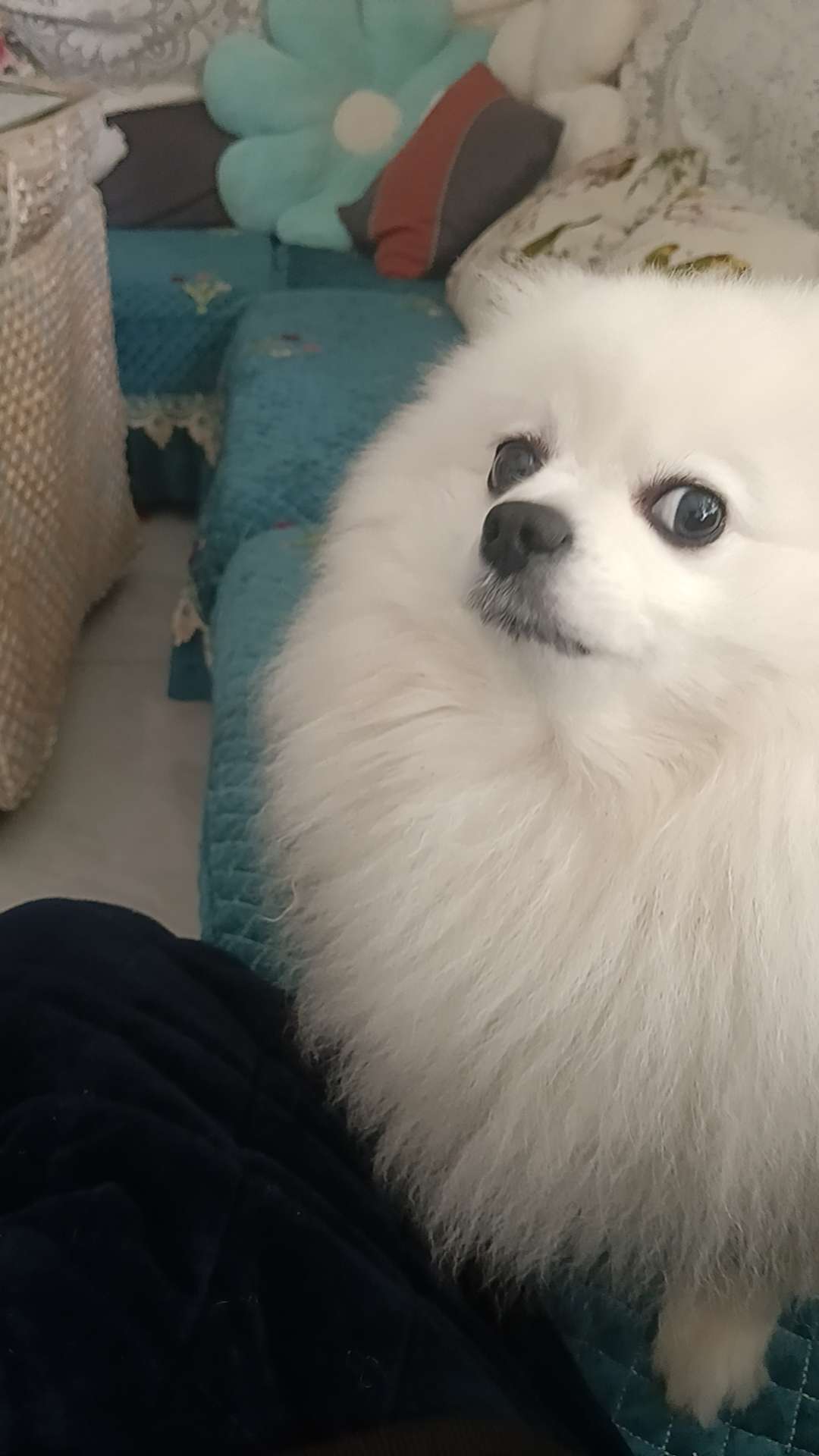 找搭子
