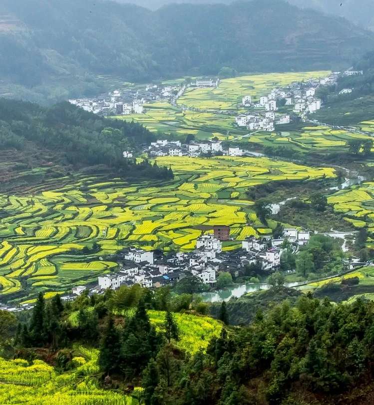 找搭子