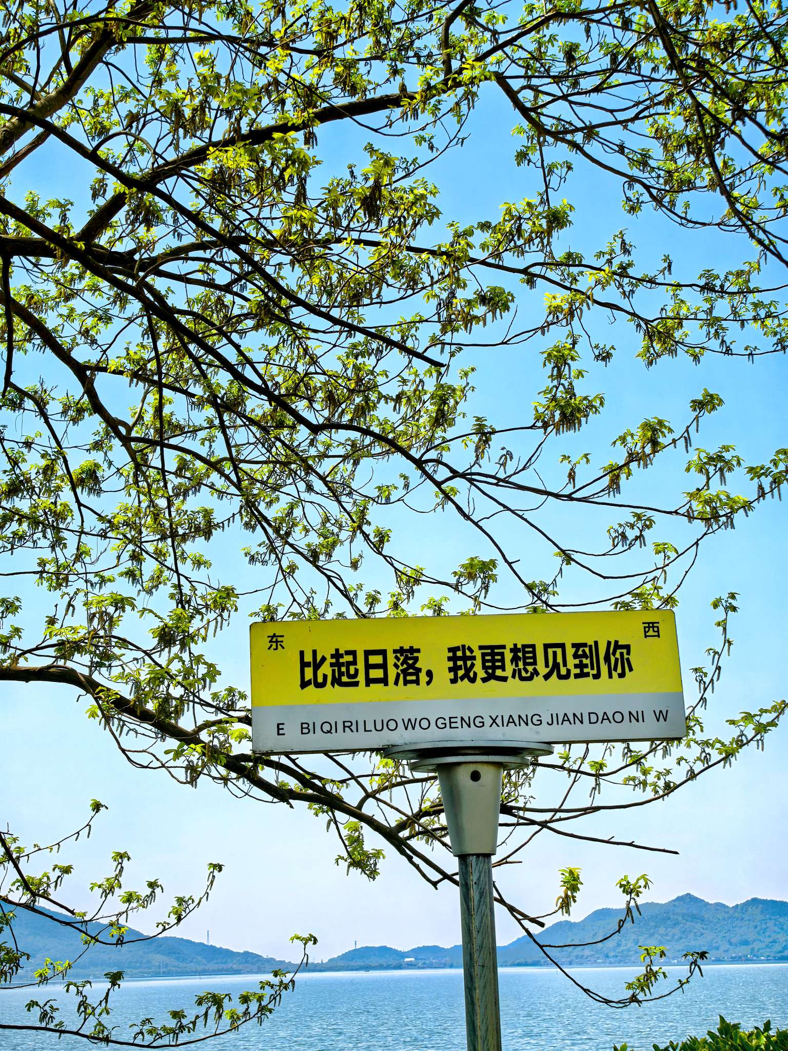 找搭子