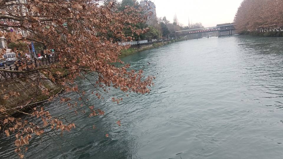 找搭子