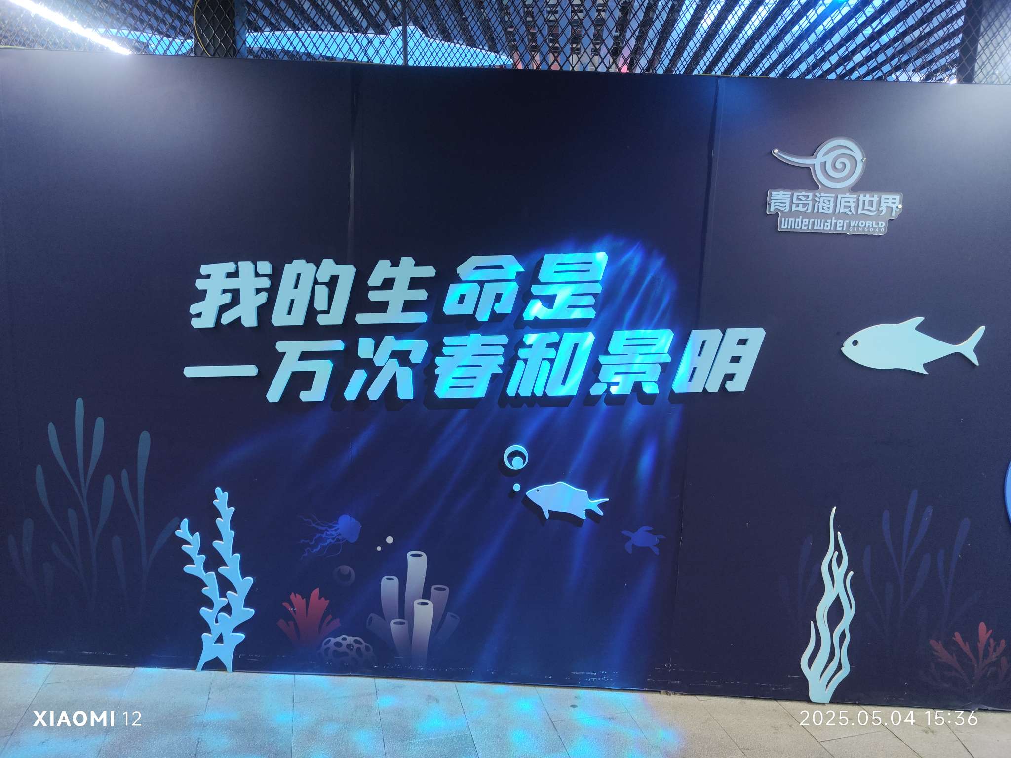 找搭子