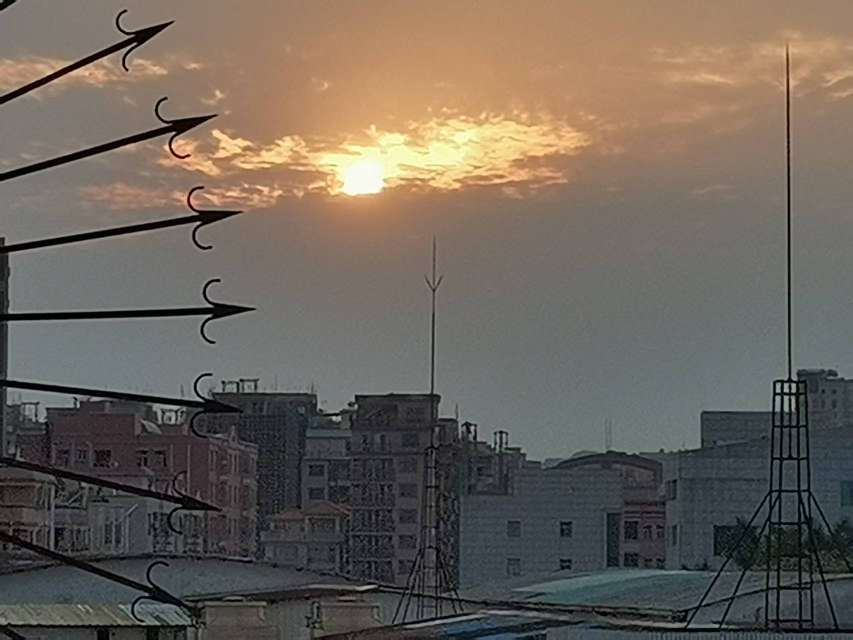 找搭子