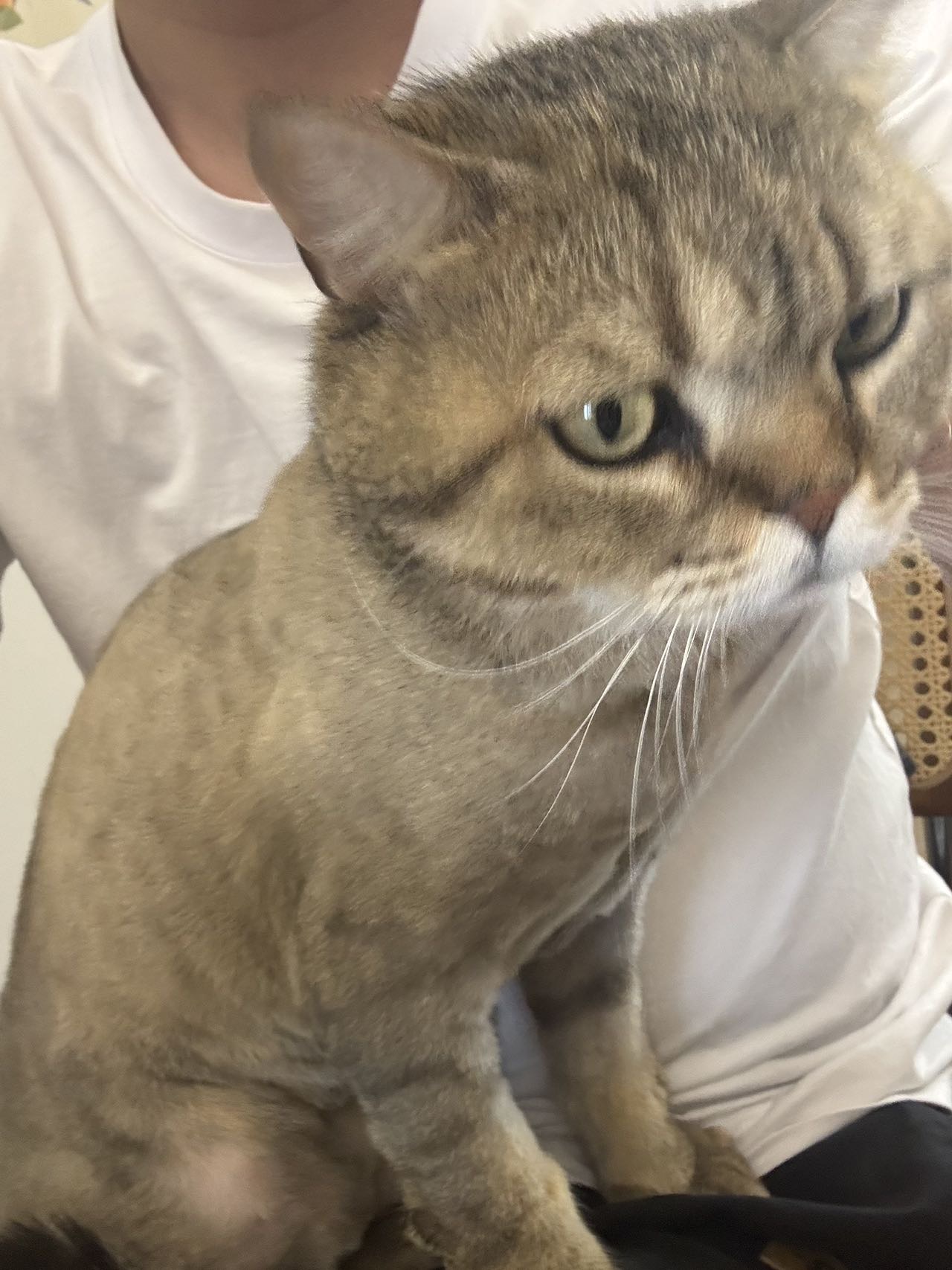 找搭子