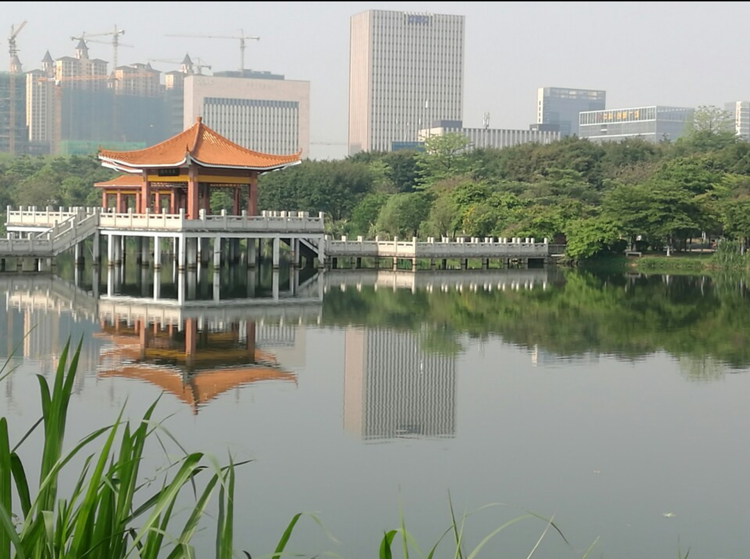 找搭子