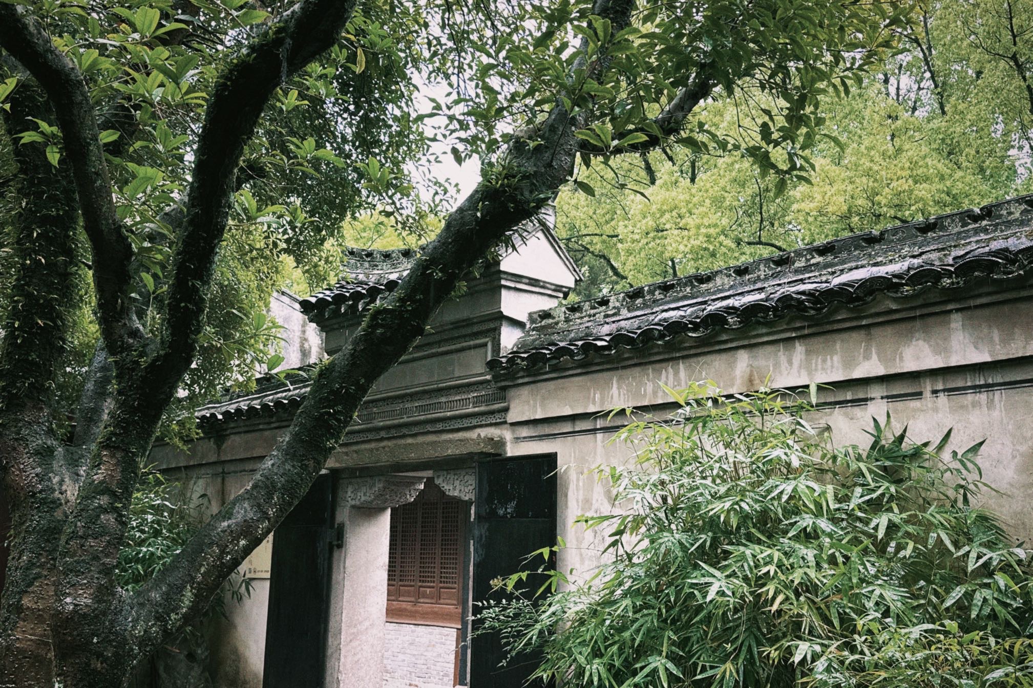 找搭子
