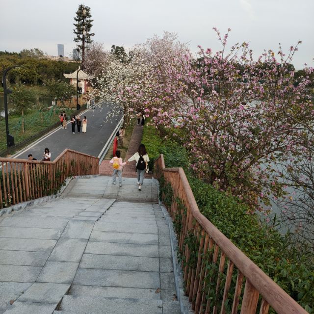 找搭子