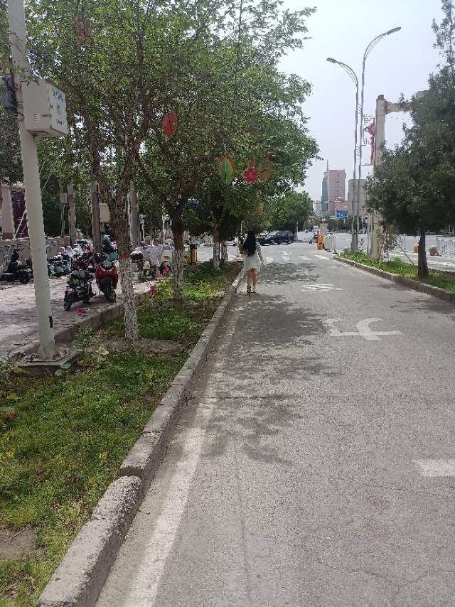 找搭子