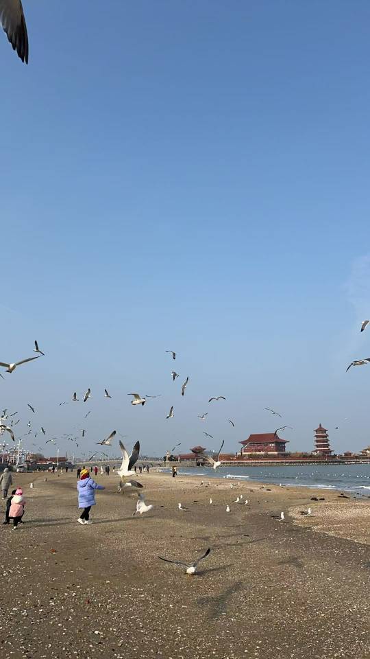 找搭子