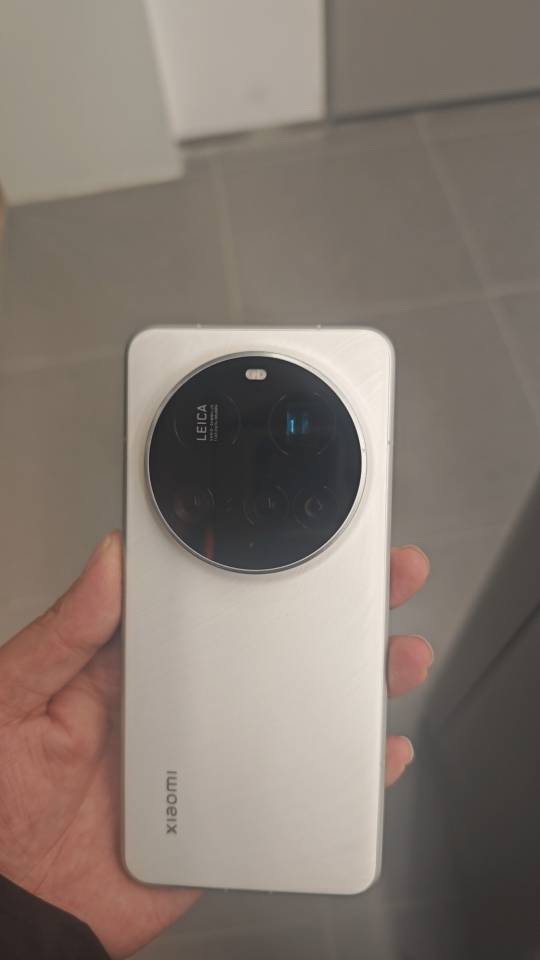 找搭子