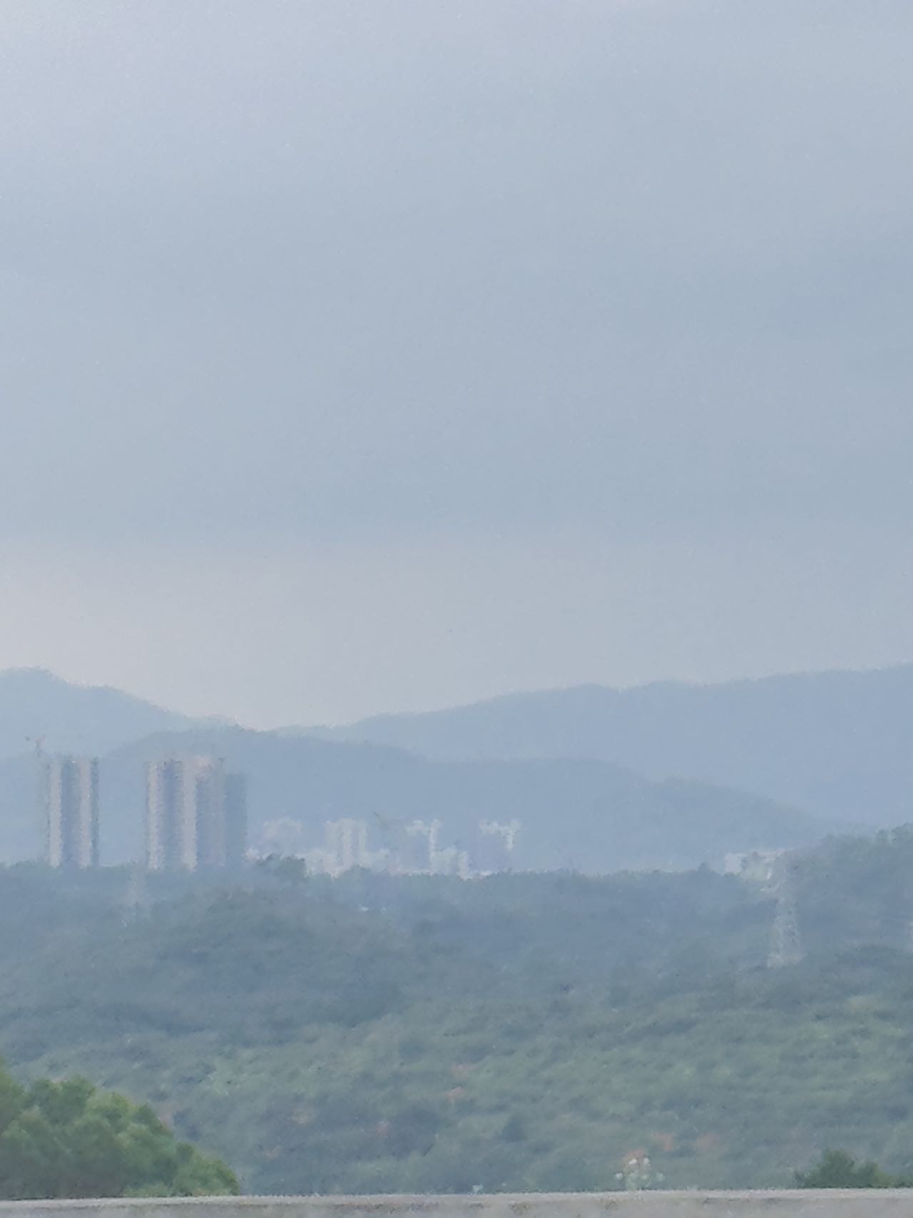 找搭子