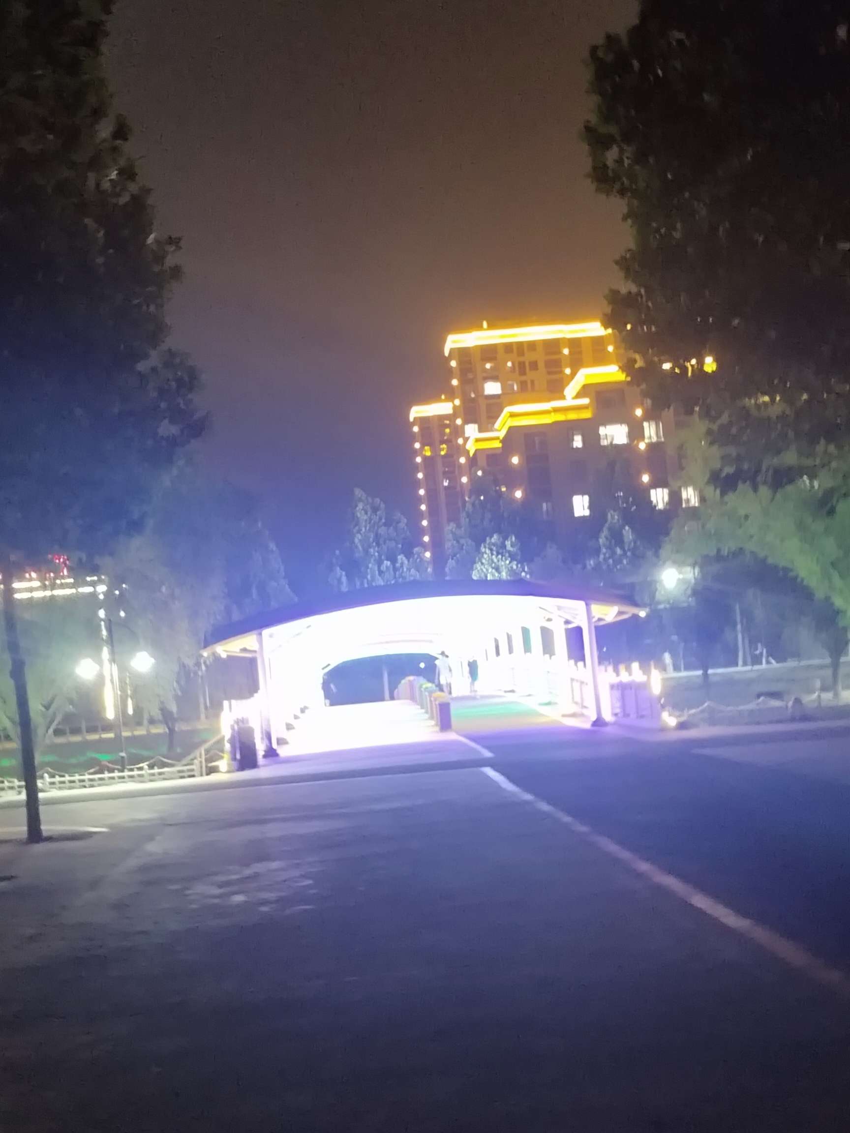 找搭子