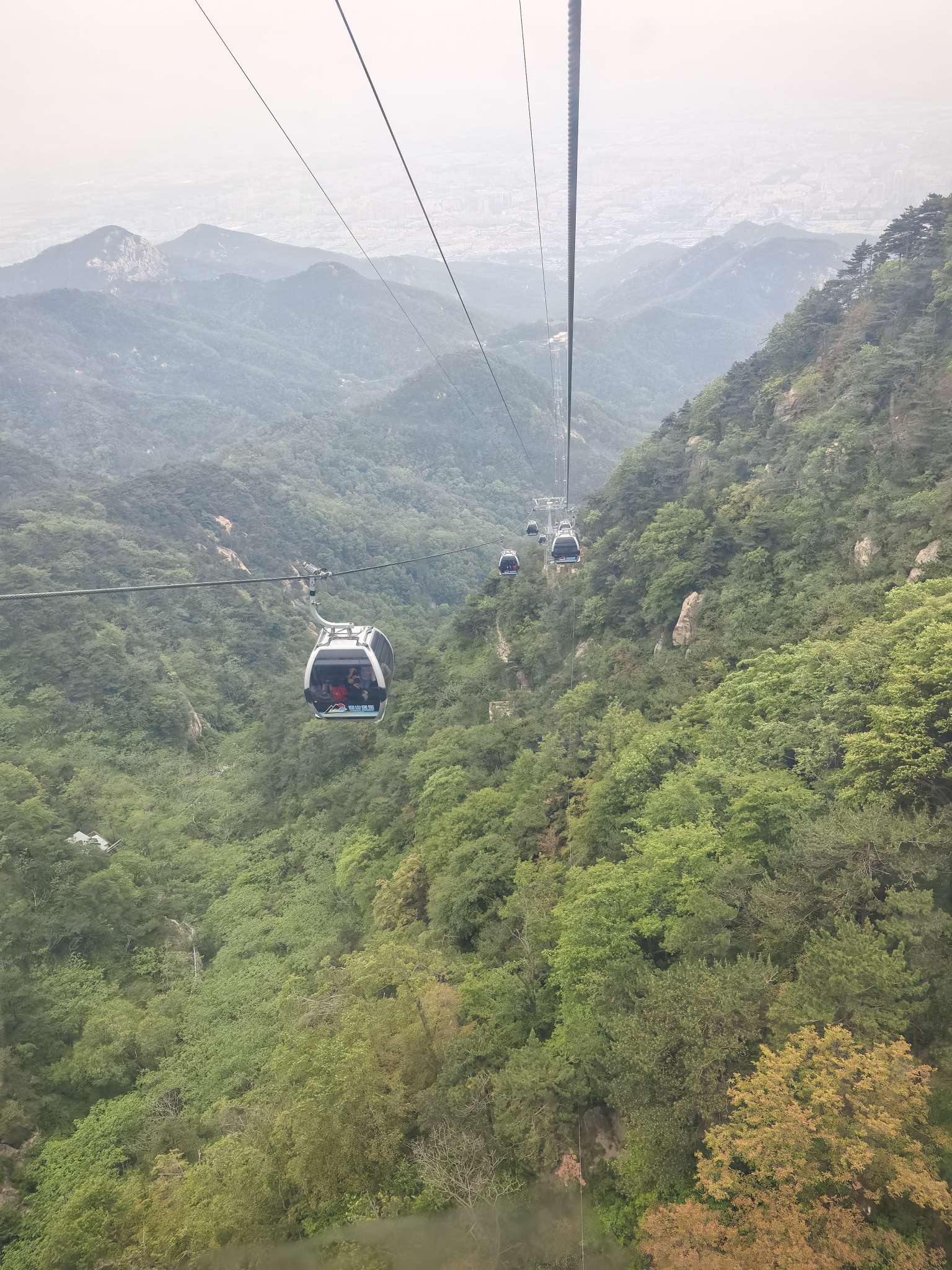 找搭子
