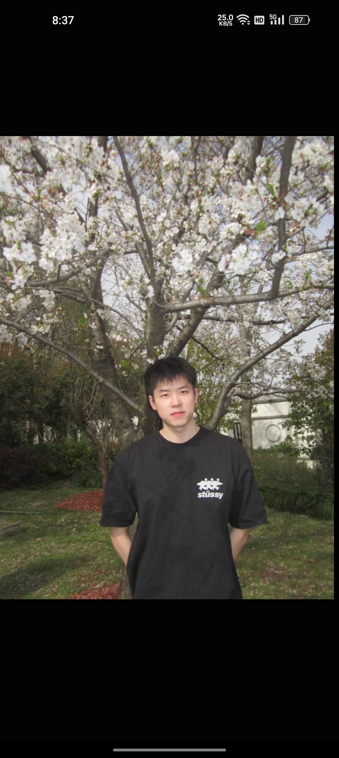 丛丛相亲交友平台